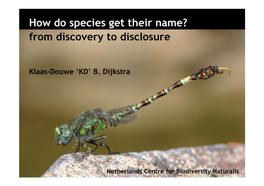 2. Odonata Taxonomy