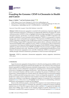 CENP-A-Chromatin in Health and Cancer