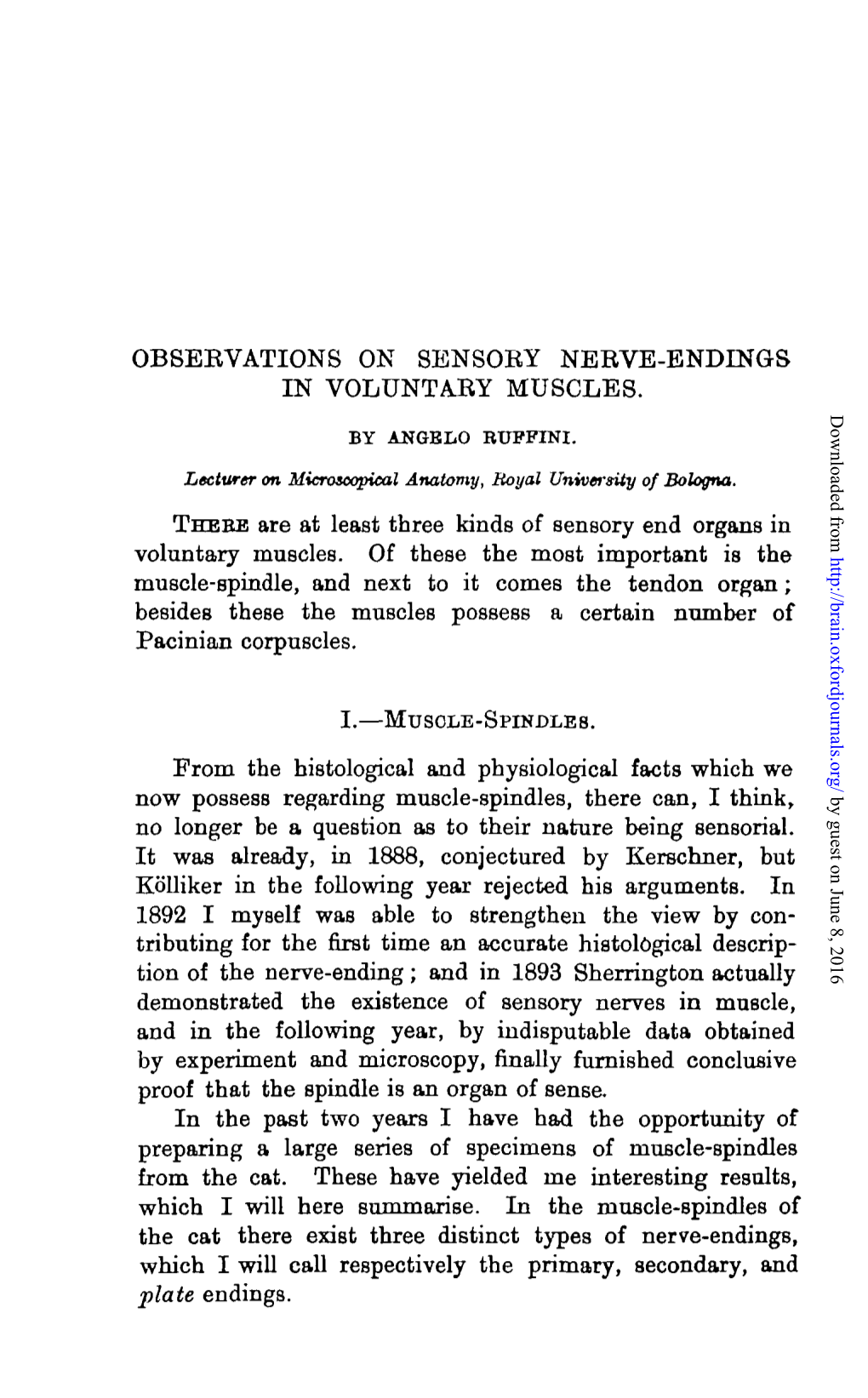 OBSEBVATIONS on SBNSOEY NERVE-ENDINGS in VOLUNTARY MUSCLES. THEEB Are at Least Three Kinds of Sensory End Organs in Voluntary Mu