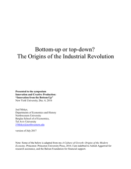 Bottom-Up Or Top-Down? the Origins of the Industrial Revolution