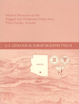Mineral Resource.S of the Ragged Top Wilderness Study Area, Pima Countyt,Arizona