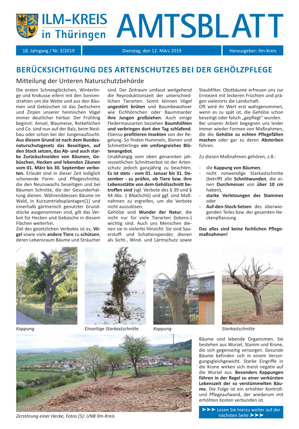 ILM-KREIS in Thüringen AMTSBLATT