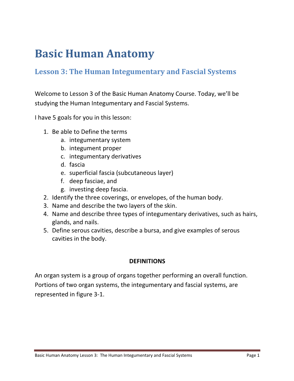 Lesson 3: the Human Integumentary and Fascial Systems