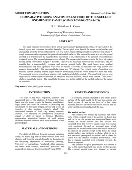Gross Anatomical Studies of the Skull of One-Humped Camel (Camelus Dromedarius)