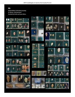 2019 Conchologists of America Oral Auction Preview Marginellidae