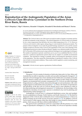 Reproduction of the Androgenetic Population of the Asian Corbicula Clam (Bivalvia: Cyrenidae) in the Northern Dvina River Basin, Russia