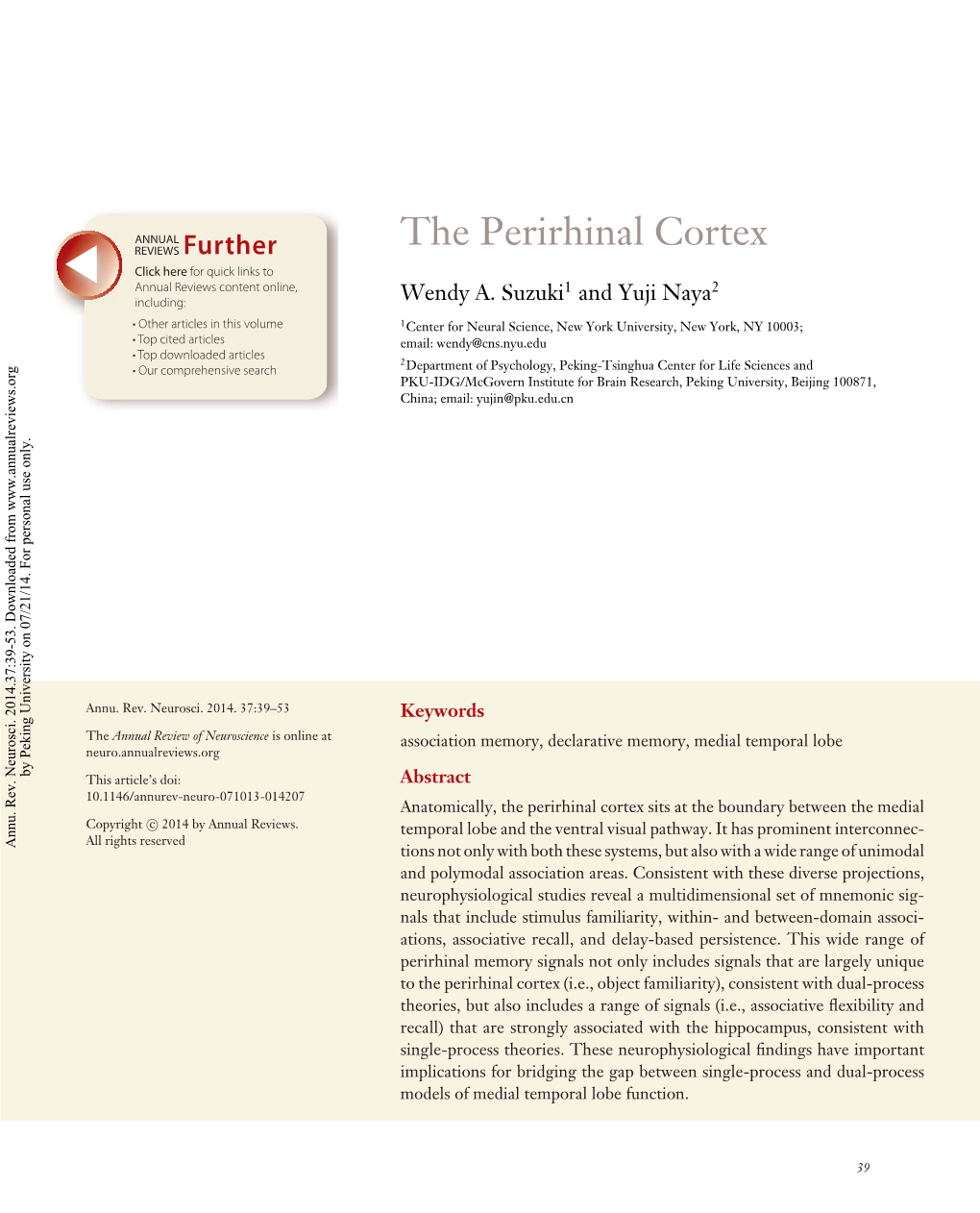 The Perirhinal Cortex