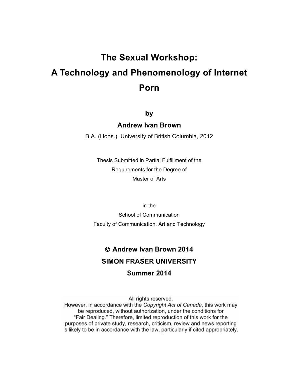 The Sexual Workshop: a Technology and Phenomenology of Internet Porn