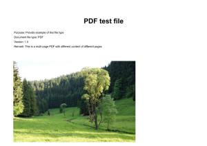PDF Test File