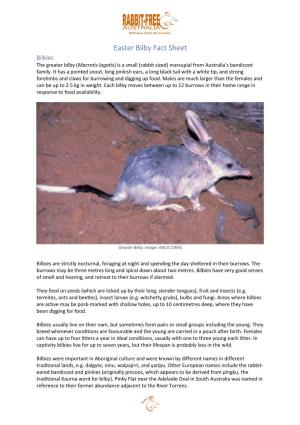Easter Bilby Fact Sheet Bilbies the Greater Bilby (Macrotis Lagotis) Is a Small (Rabbit Sized) Marsupial from Australia’S Bandicoot Family