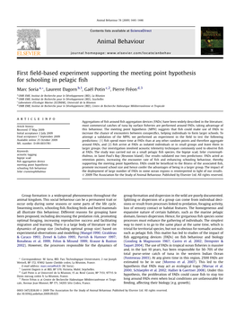 First Field-Based Experiment Supporting the Meeting Point Hypothesis for Schooling in Pelagic Fish