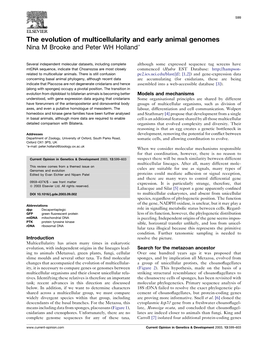 The Evolution of Multicellularity and Early Animal Genomes Nina M Brooke and Peter WH Hollandã