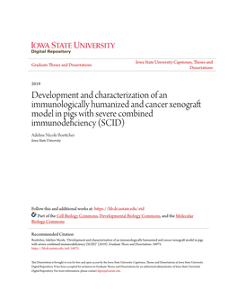 Development and Characterization of an Immunologically Humanized And