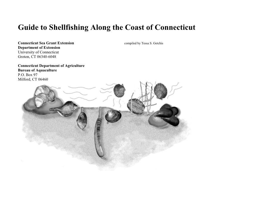 Guide to Shellfishing Along the Coast of Connecticut