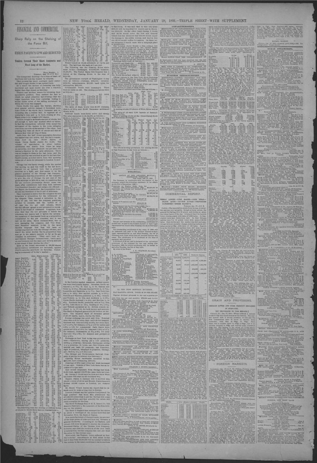 R 28, 1891.TRIFLE SHEETCOPART3JERSHIPS