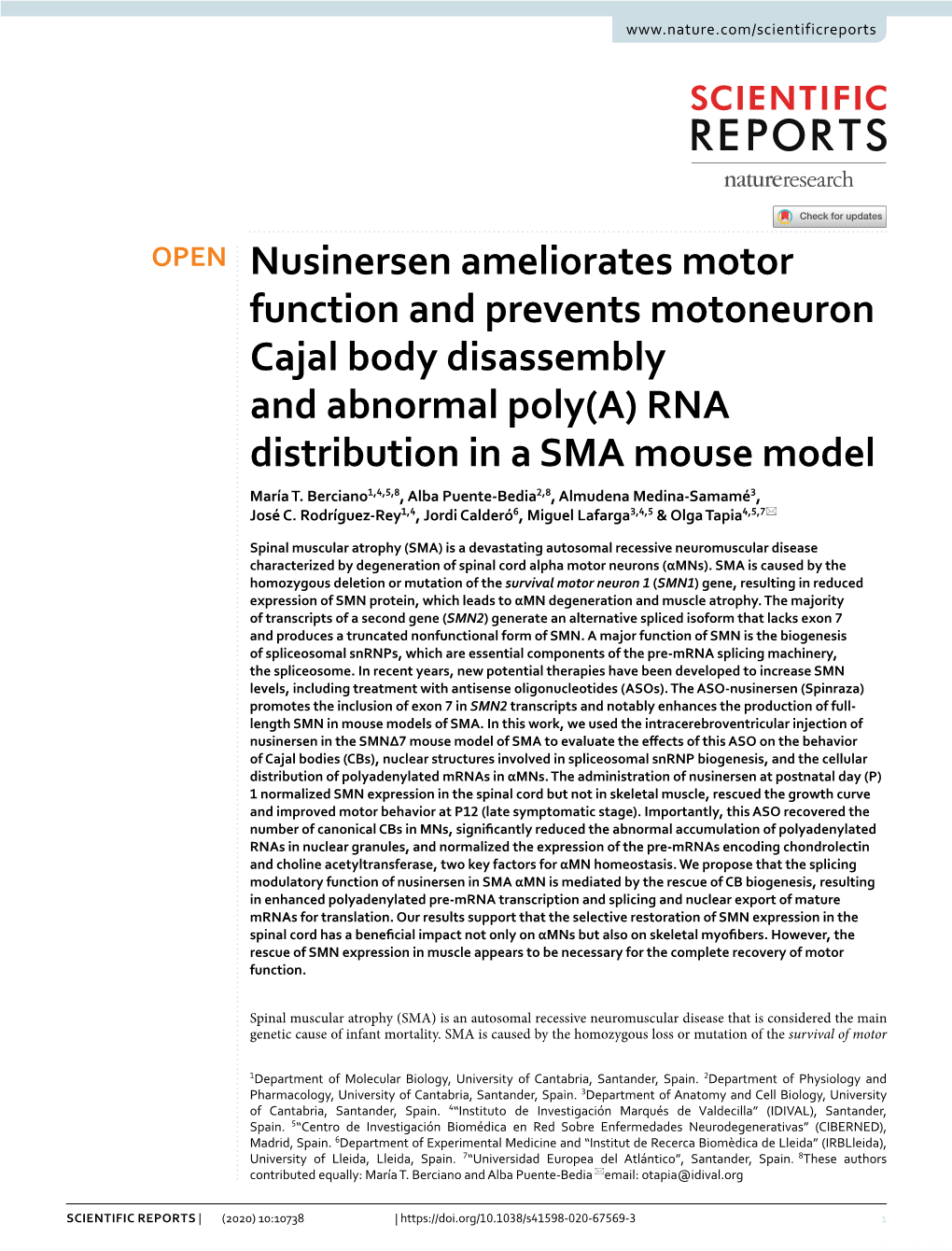 Nusinersen Ameliorates Motor Function and Prevents Motoneuron Cajal Body Disassembly and Abnormal Poly(A) RNA Distribution in a SMA Mouse Model María T