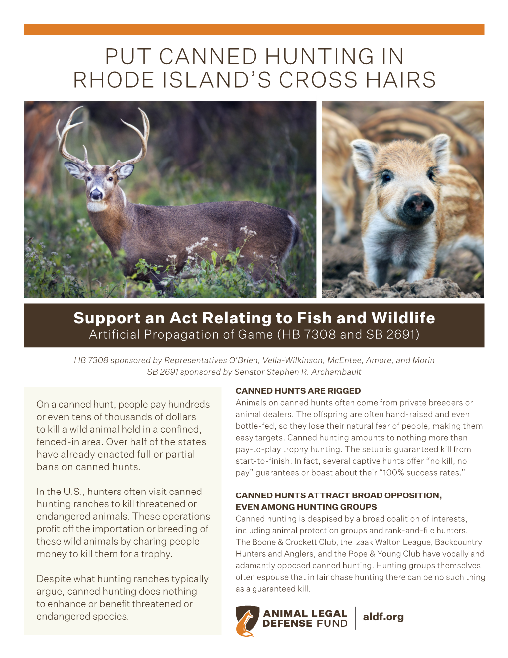 Put Canned Hunting in Rhode Island's Cross Hairs