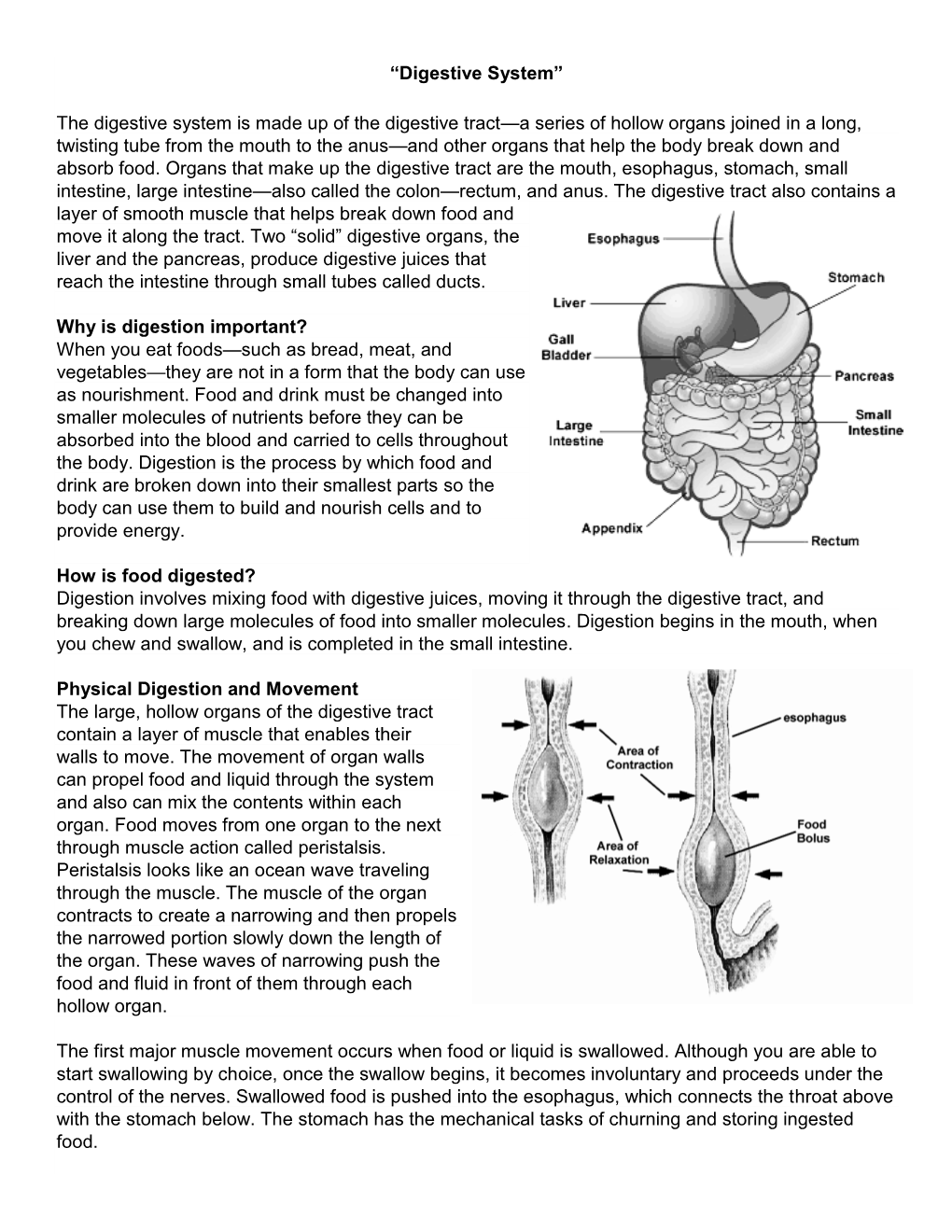 Digestive System”