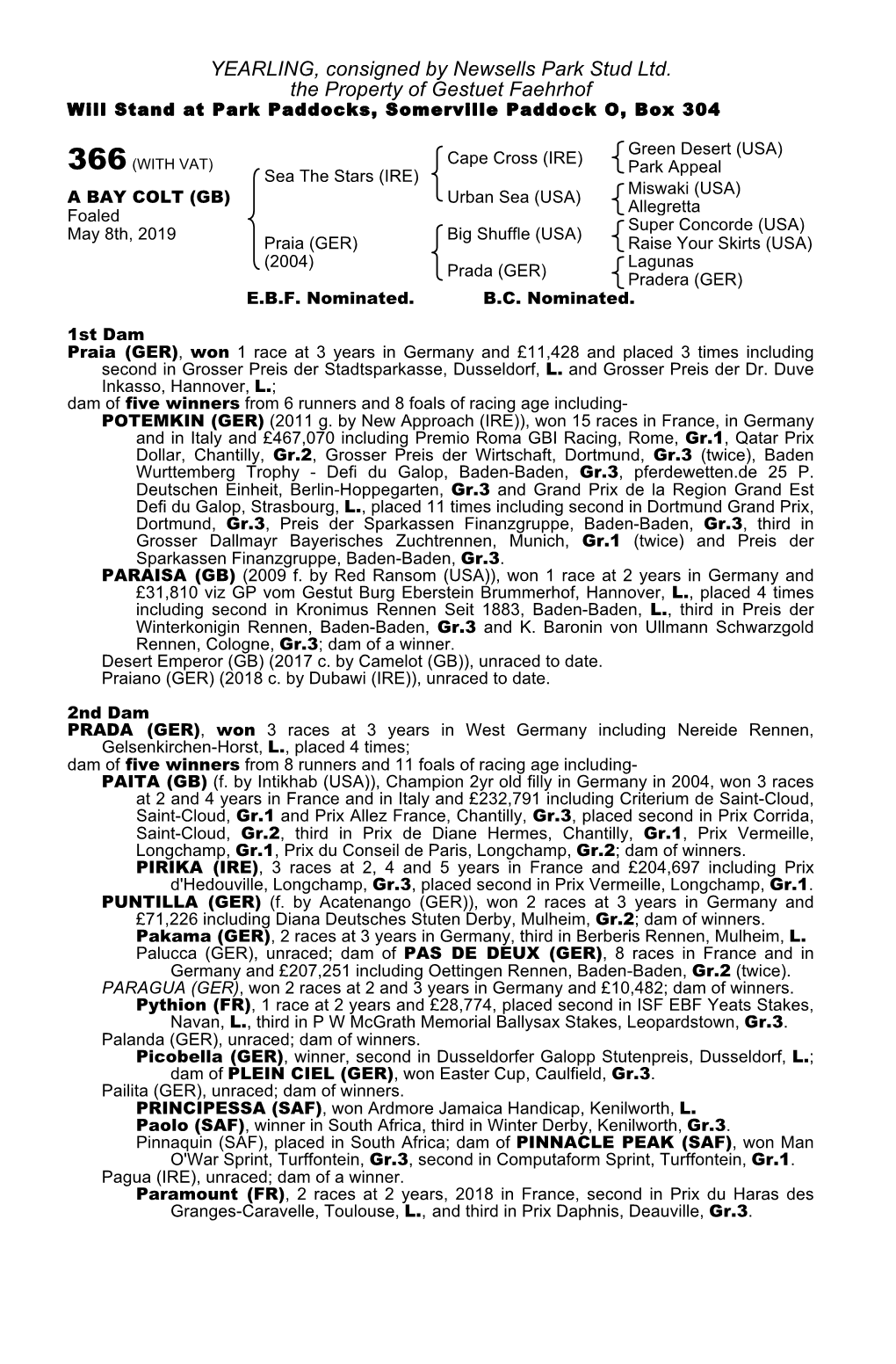 YEARLING, Consigned by Newsells Park Stud Ltd. the Property of Gestuet Faehrhof Will Stand at Park Paddocks, Somerville Paddock O, Box 304