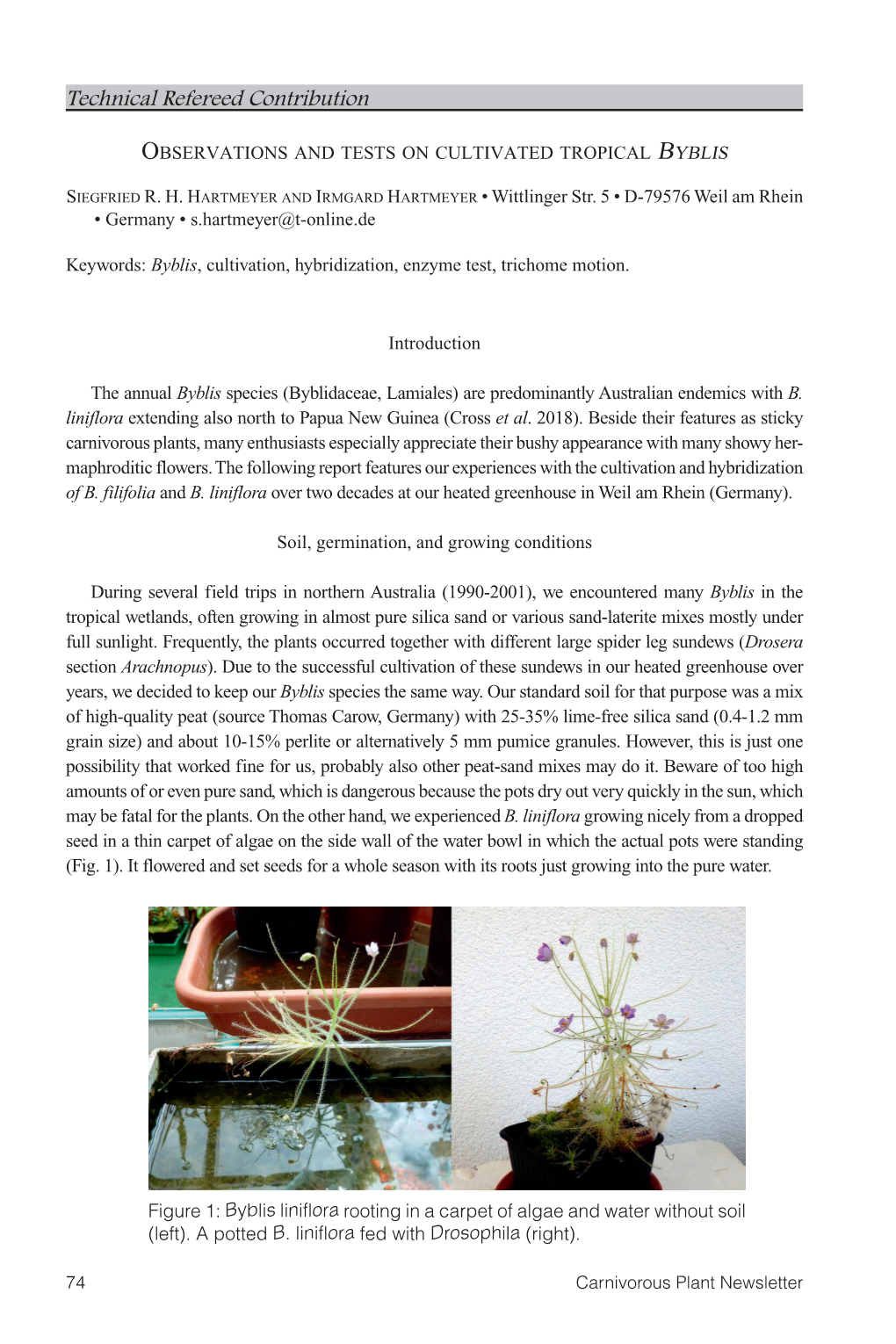 Observations and Tests on Cultivated Tropical Byblis