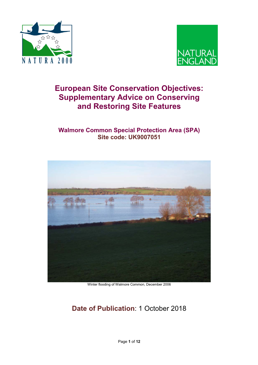 Walmore Common SPA Conservation Objectives Supplemenary