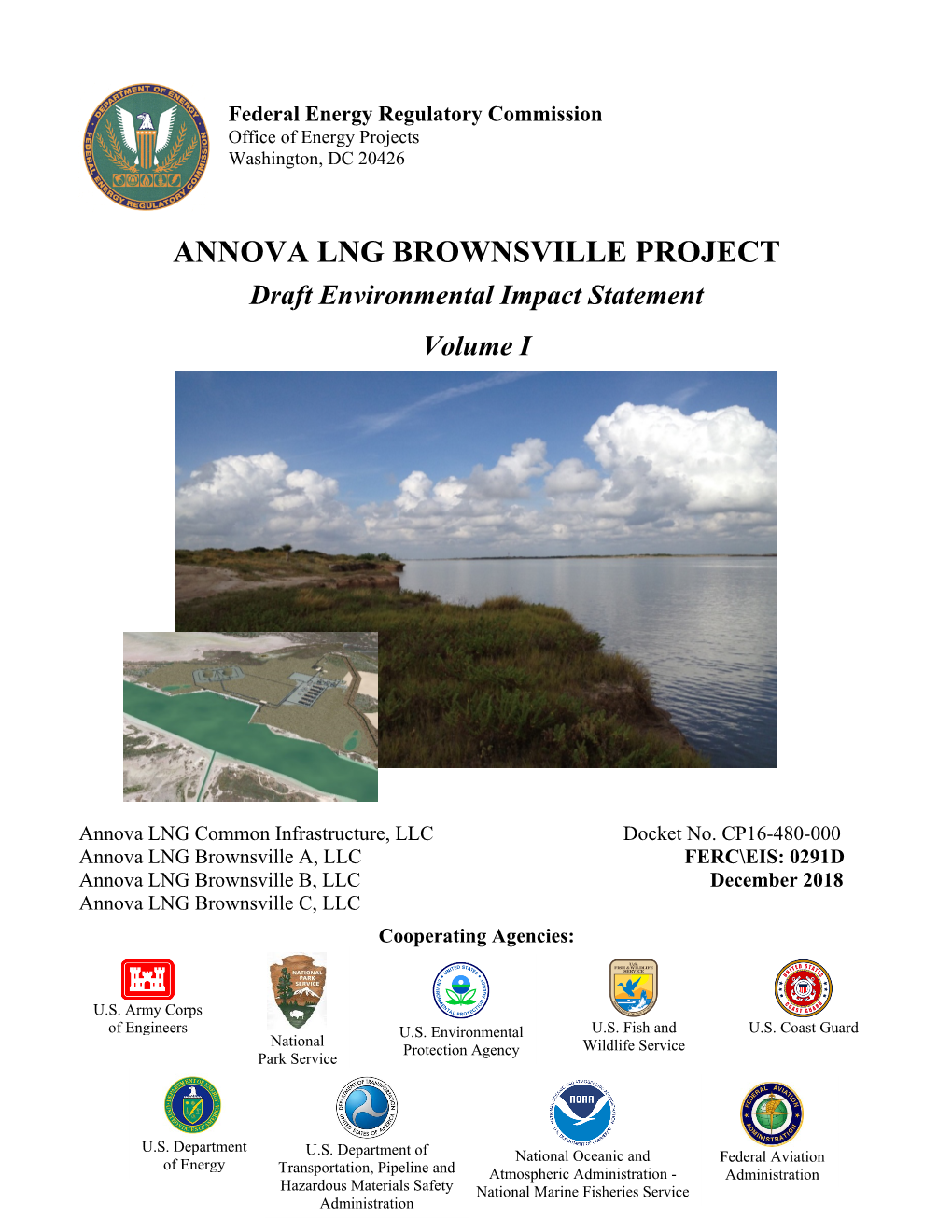 Annova LNG Brownsville Project DEIS Volume I