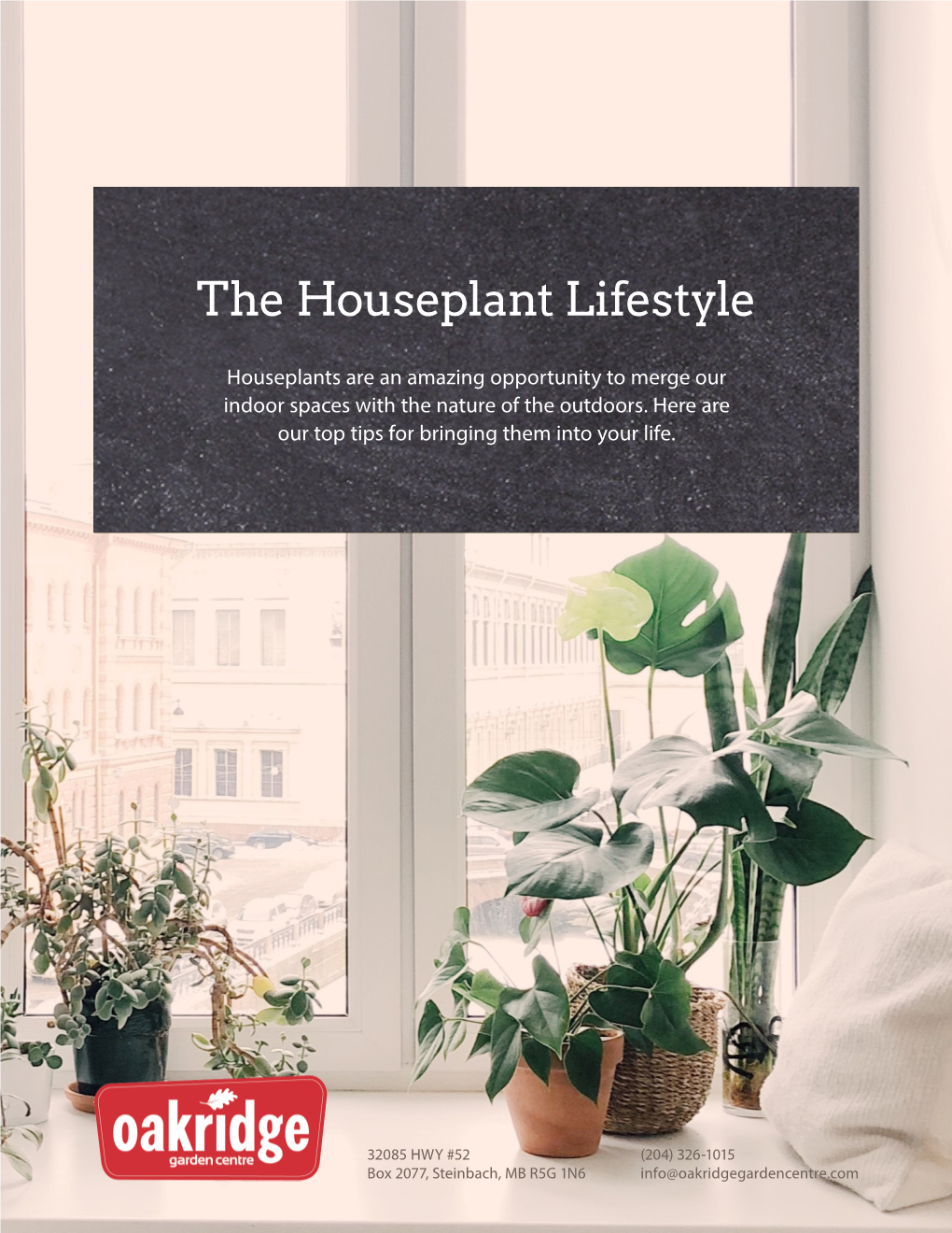 The Houseplant Lifestyle