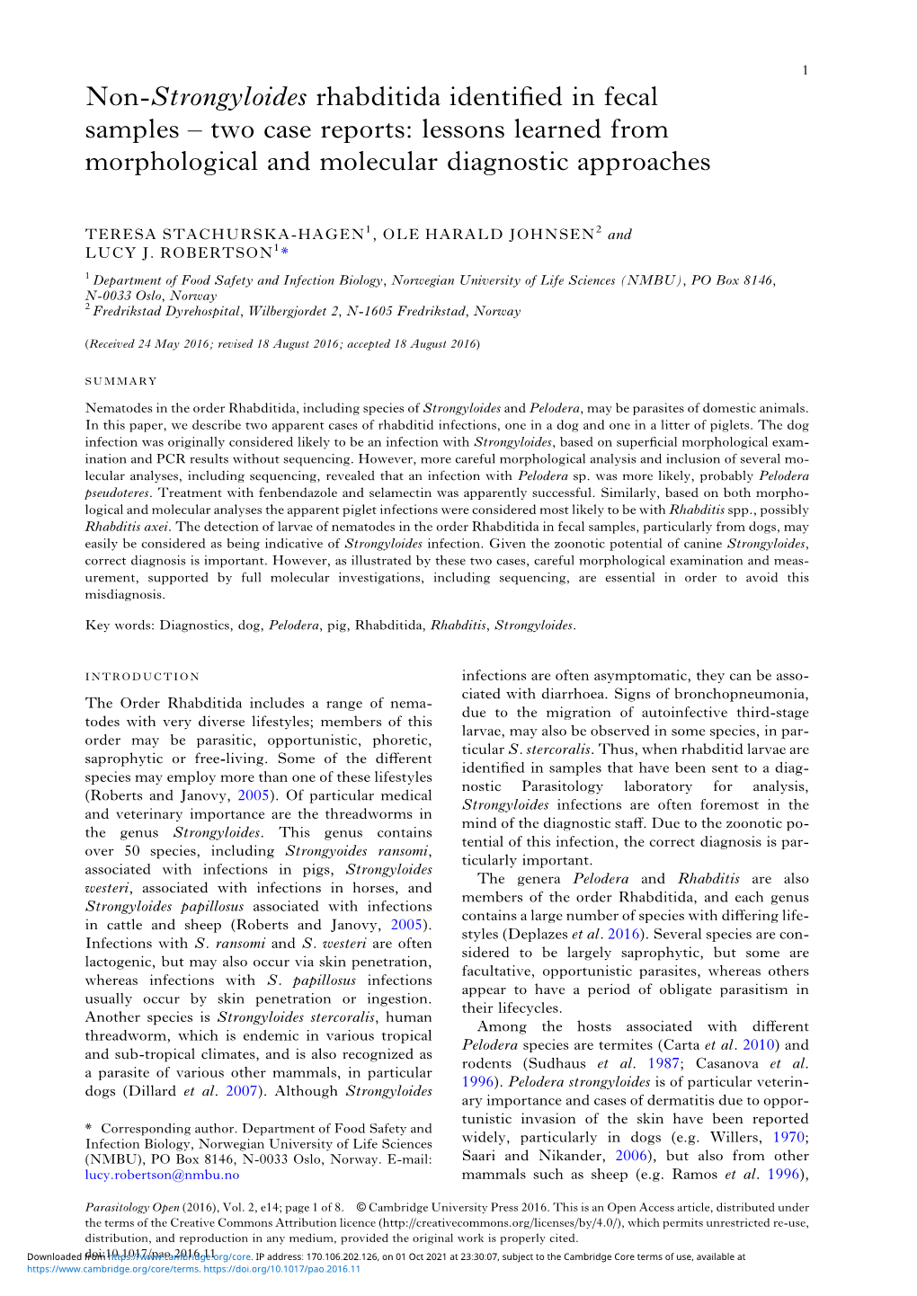 Non-Strongyloides Rhabditida Identified in Fecal Samples