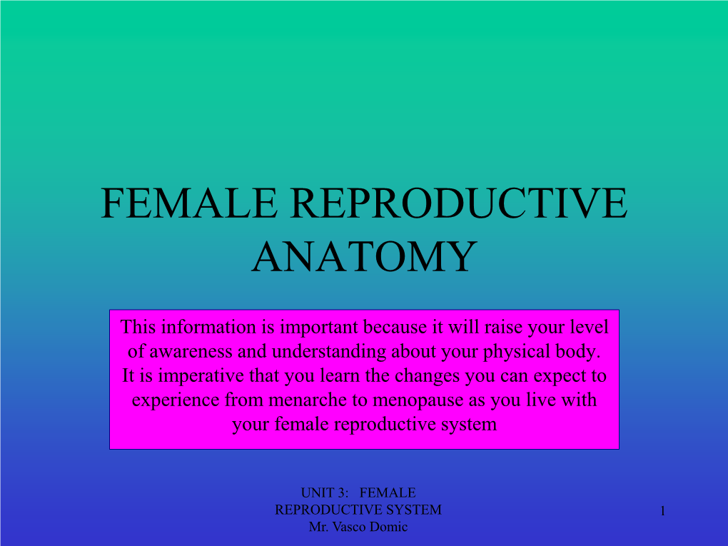 Female Reproductive Anatomy