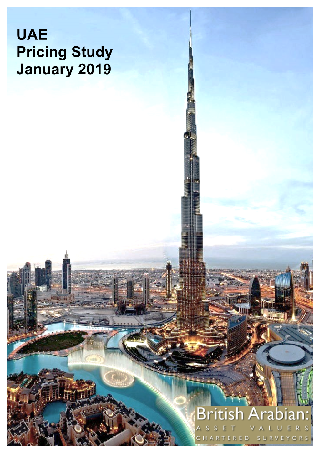 UAE Pricing Study January 2019