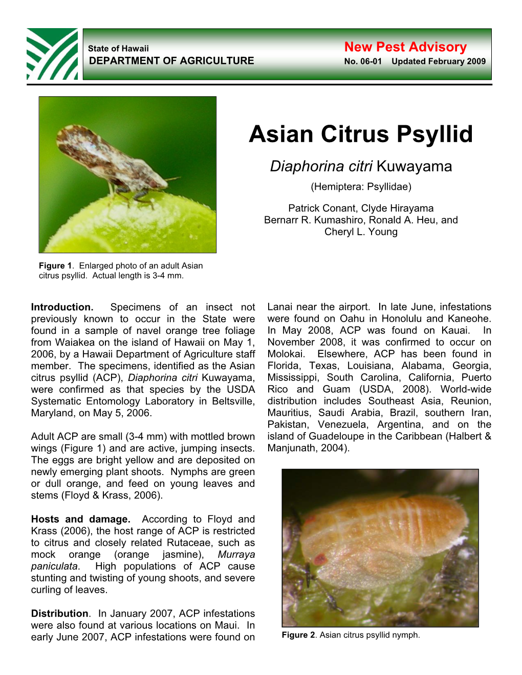 Asian Citrus Psyllid