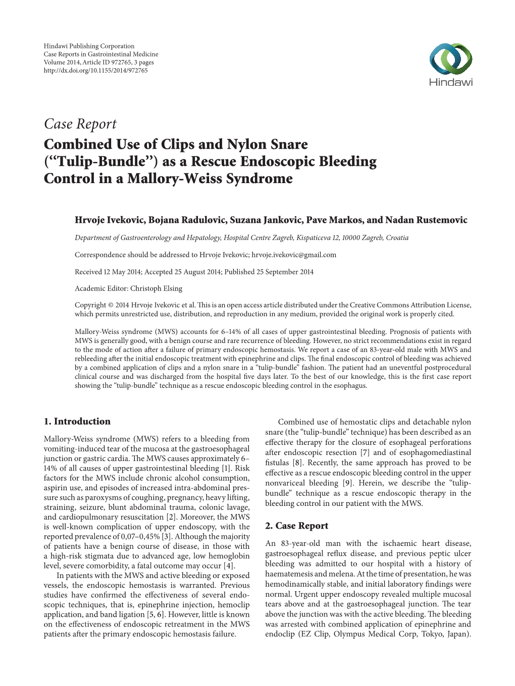 Combined Use of Clips and Nylon Snare (“Tulip-Bundle”) As a Rescue Endoscopic Bleeding Control in a Mallory-Weiss Syndrome