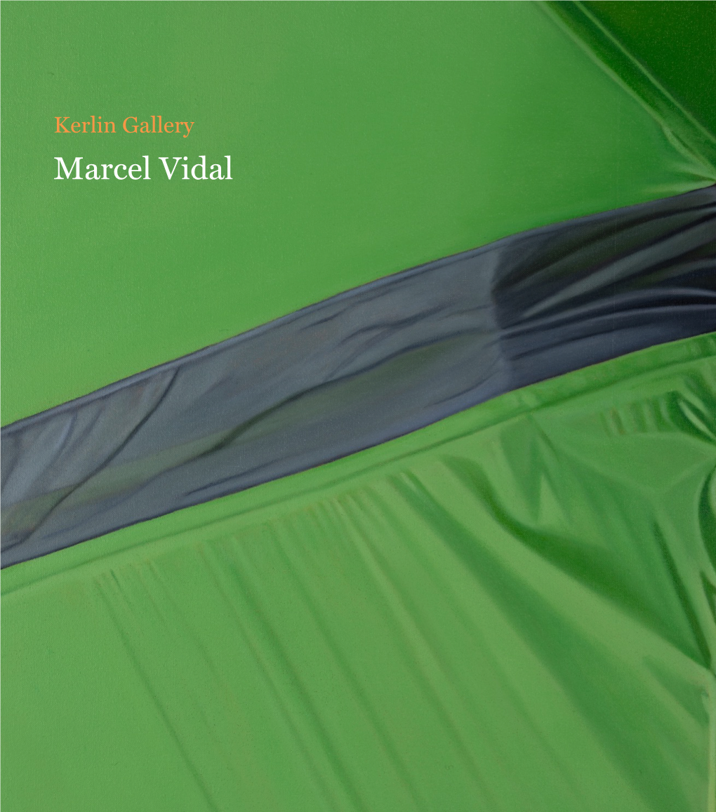 Marcel Vidal Kerlin Gallery Anne’S Lane, South Anne Street, Dublin 2, Ireland T +3531 670 9093 F +3531 670 9096 Gallery@Kerlin.Ie