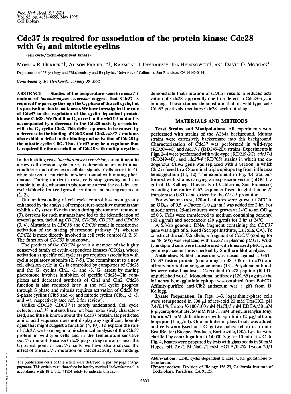 Cdc37 Is Required for Association of the Protein Kinase Cdc28 with G1 and Mitotic Cyclins (Cell Cycle/Cyclin-Dependent Kinase) MONICA R