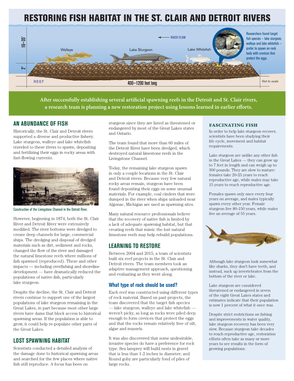 Restoring Fish Habitat in the St. Clair and Detroit Rivers