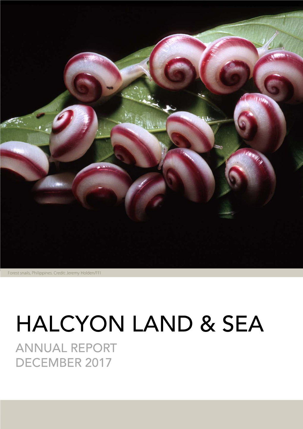 Halcyon Land &