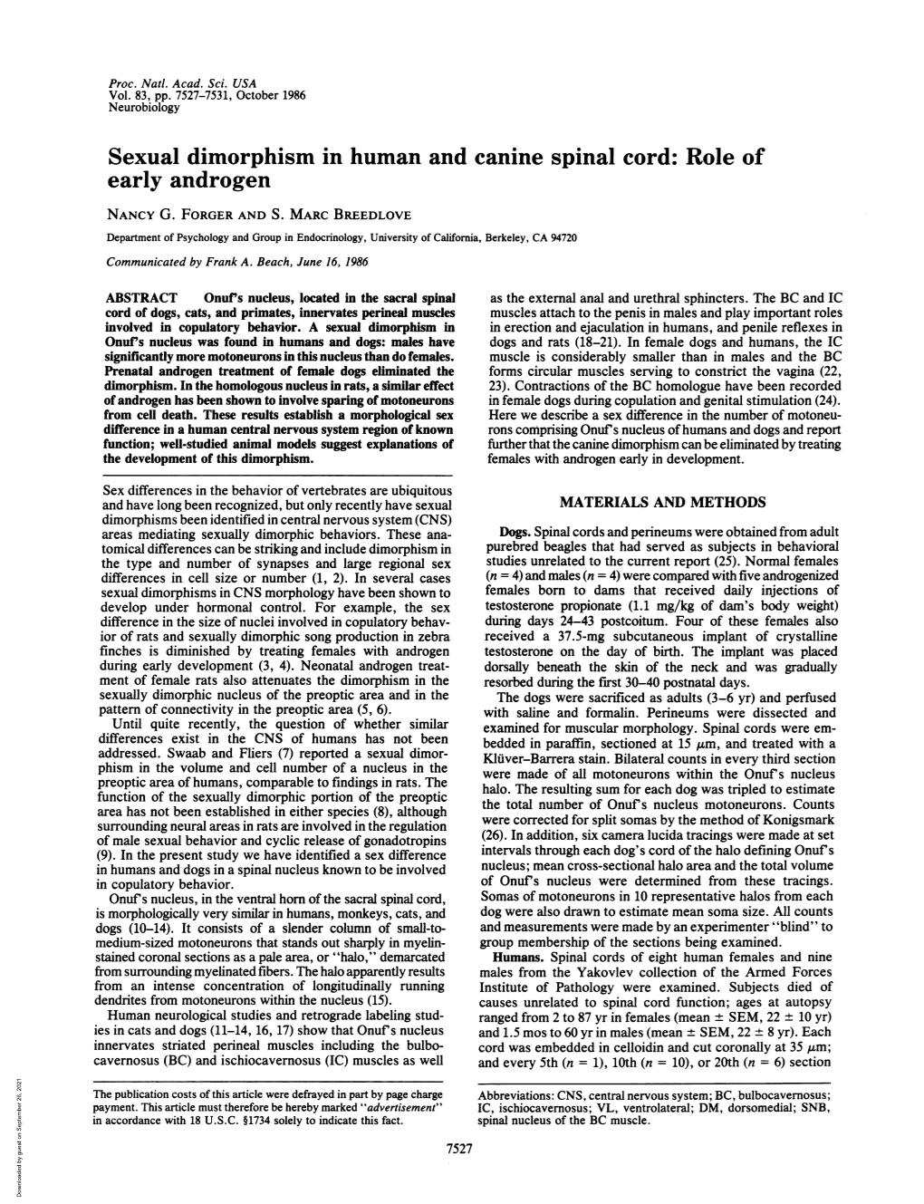 Sexual Dimorphism in Human and Canine Spinal Cord: Role of Early Androgen NANCY G
