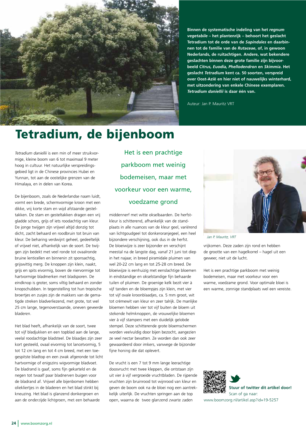 Tetradium, De Bijenboom