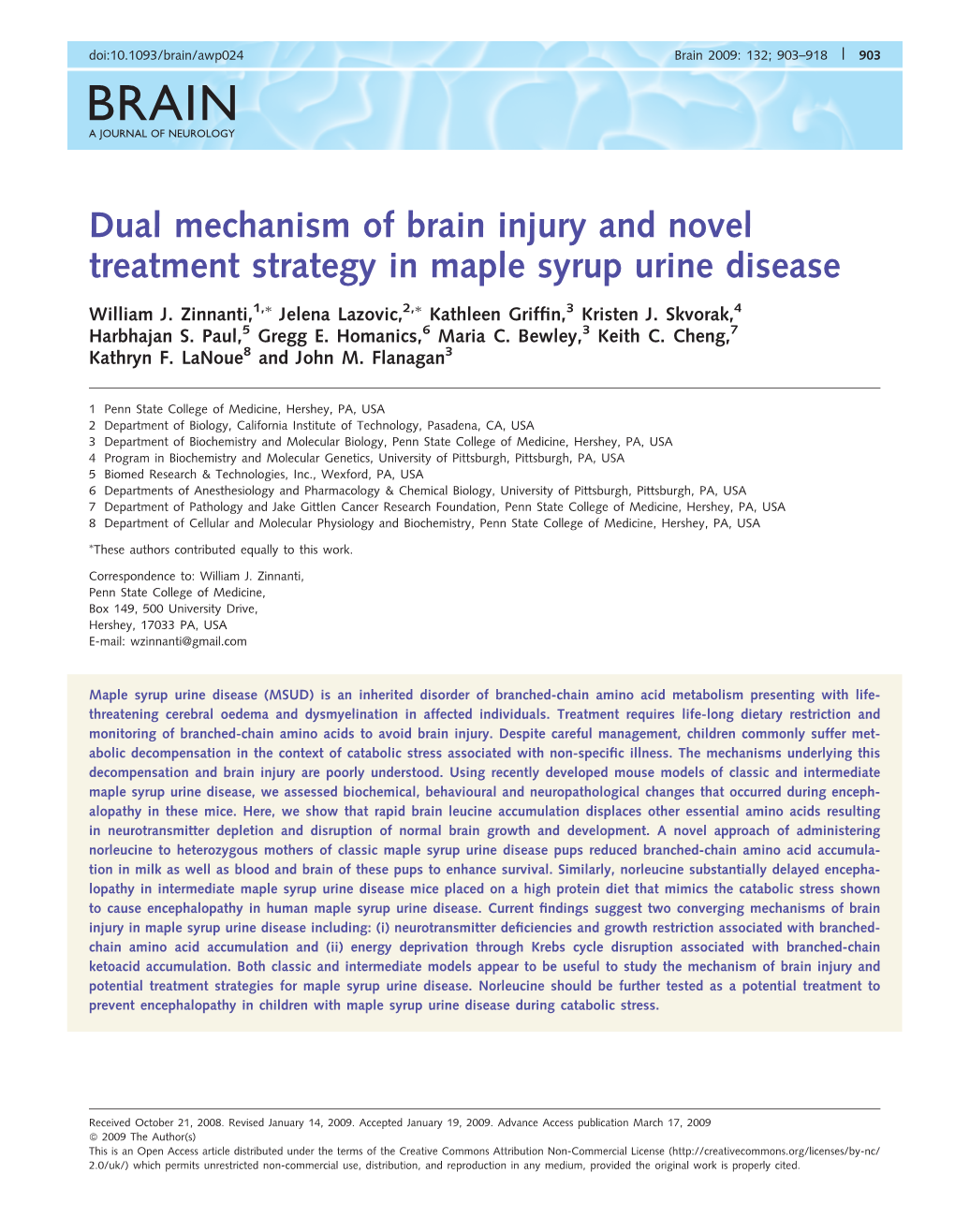 Dual Mechanism of Brain Injury and Novel Treatment Strategy in Maple Syrup Urine Disease