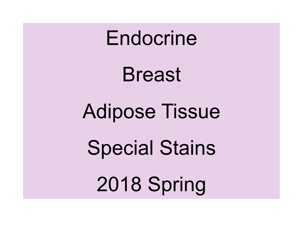 Endocrine Breast Adipose Tissue Special Stains 2018 Spring !!!ENDOCRINE SYSTEM!