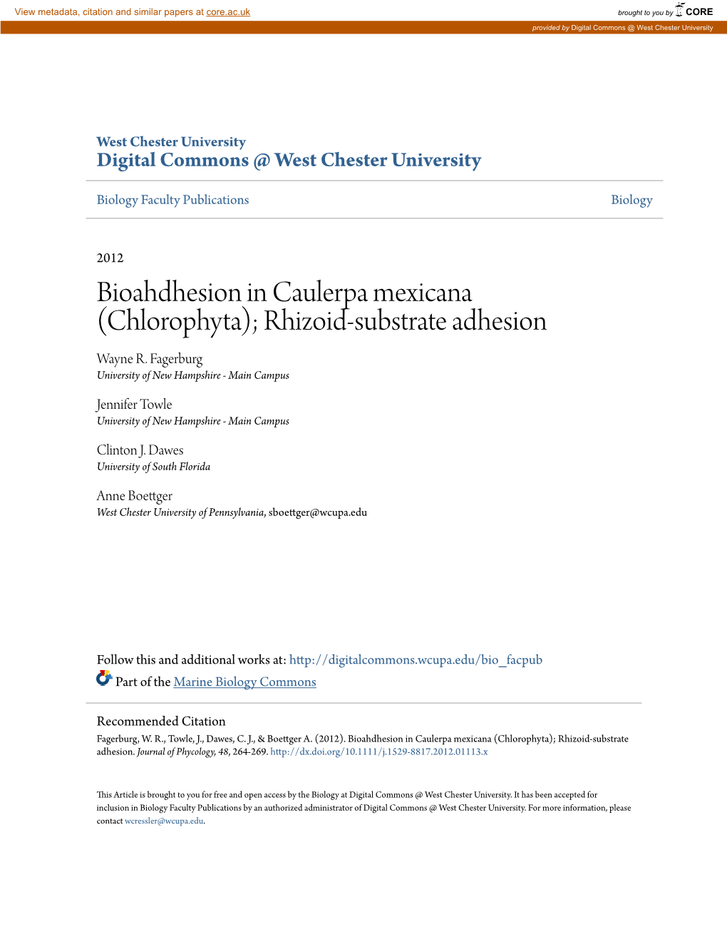 Bioahdhesion in Caulerpa Mexicana (Chlorophyta); Rhizoid-Substrate Adhesion Wayne R