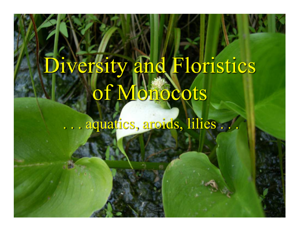 Diversity and Floristics of Monocots!