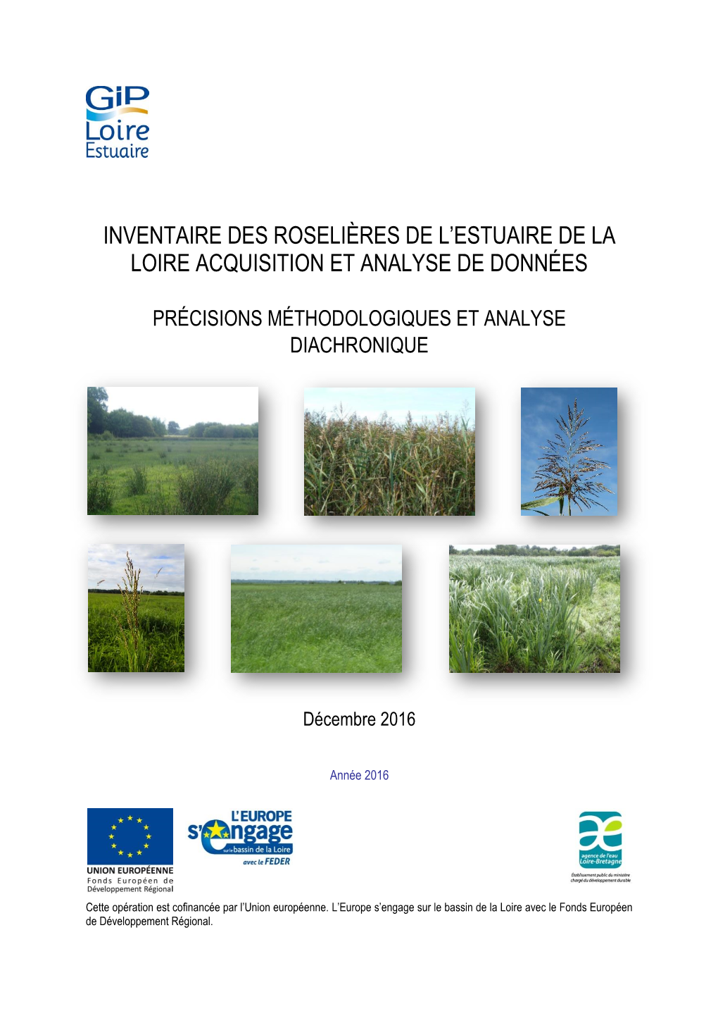 Inventaire Des Roselières De L'estuaire De La Loire Acquisition Et Analyse De