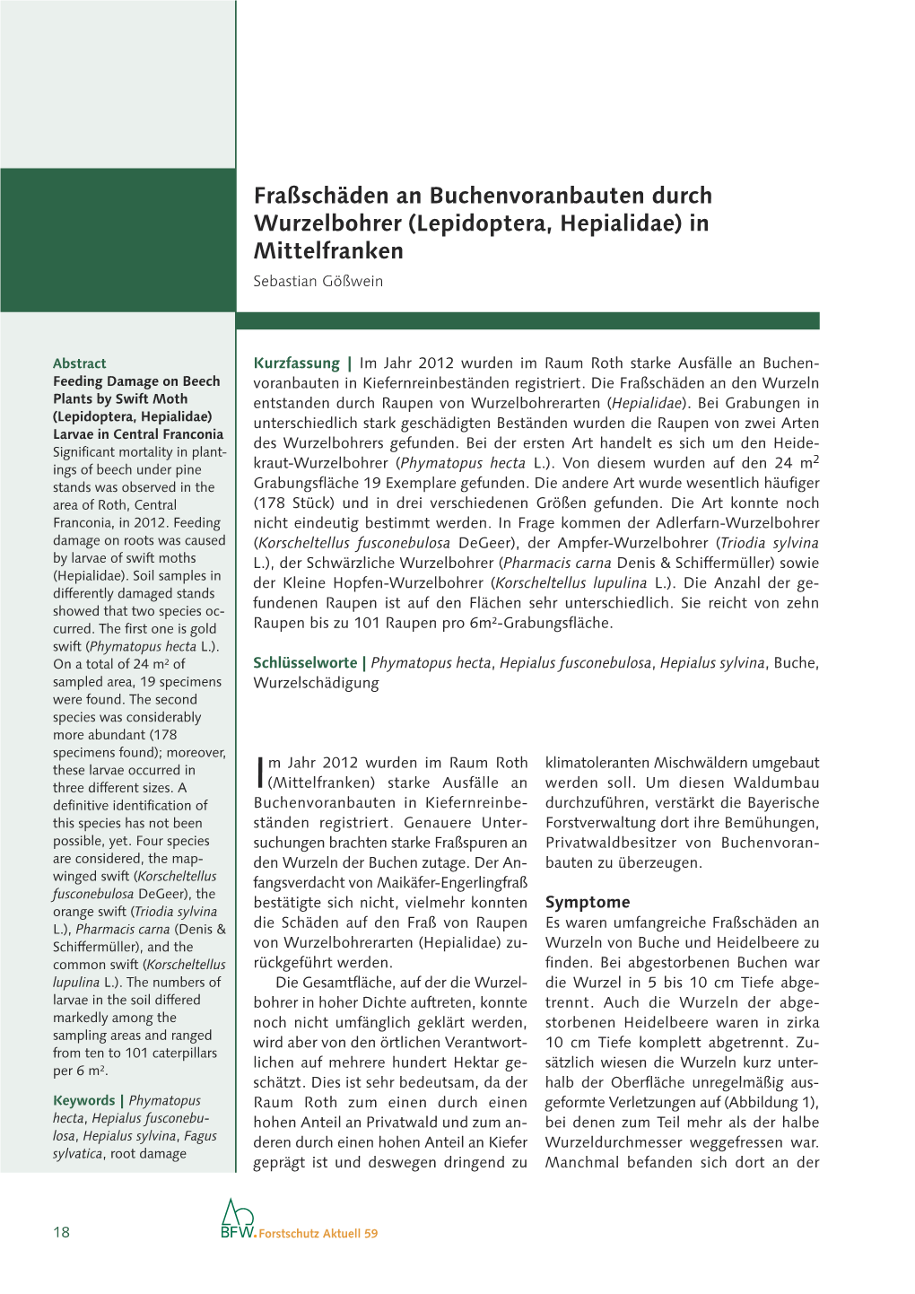 Fraßschäden an Buchenvoranbauten Durch Wurzelbohrer (Lepidoptera, Hepialidae) in Mittelfranken Sebastian Gößwein