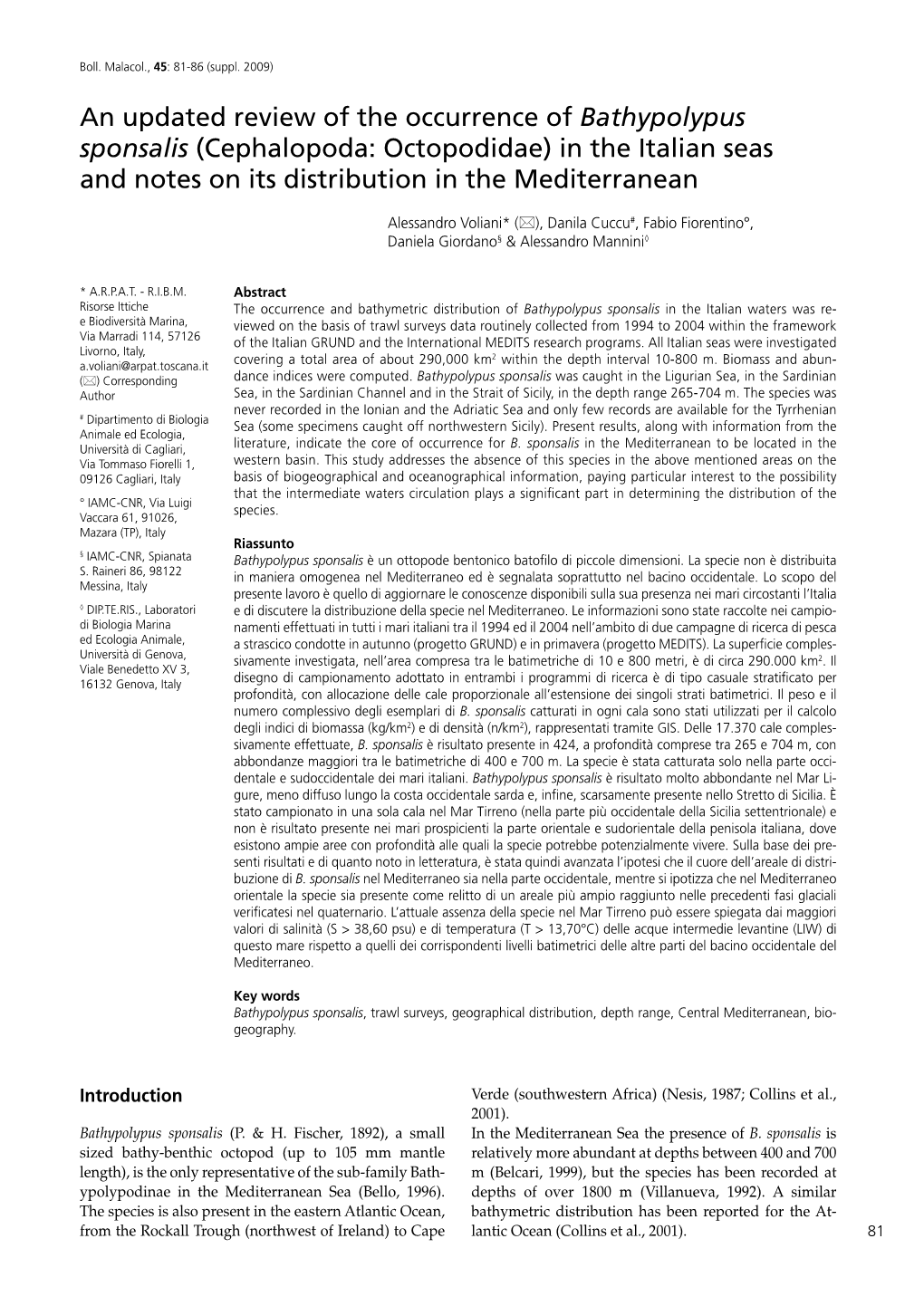 Bathypolypus Sponsalis (Cephalopoda: Octopodidae) in the Italian Seas and Notes on Its Distribution in the Mediterranean