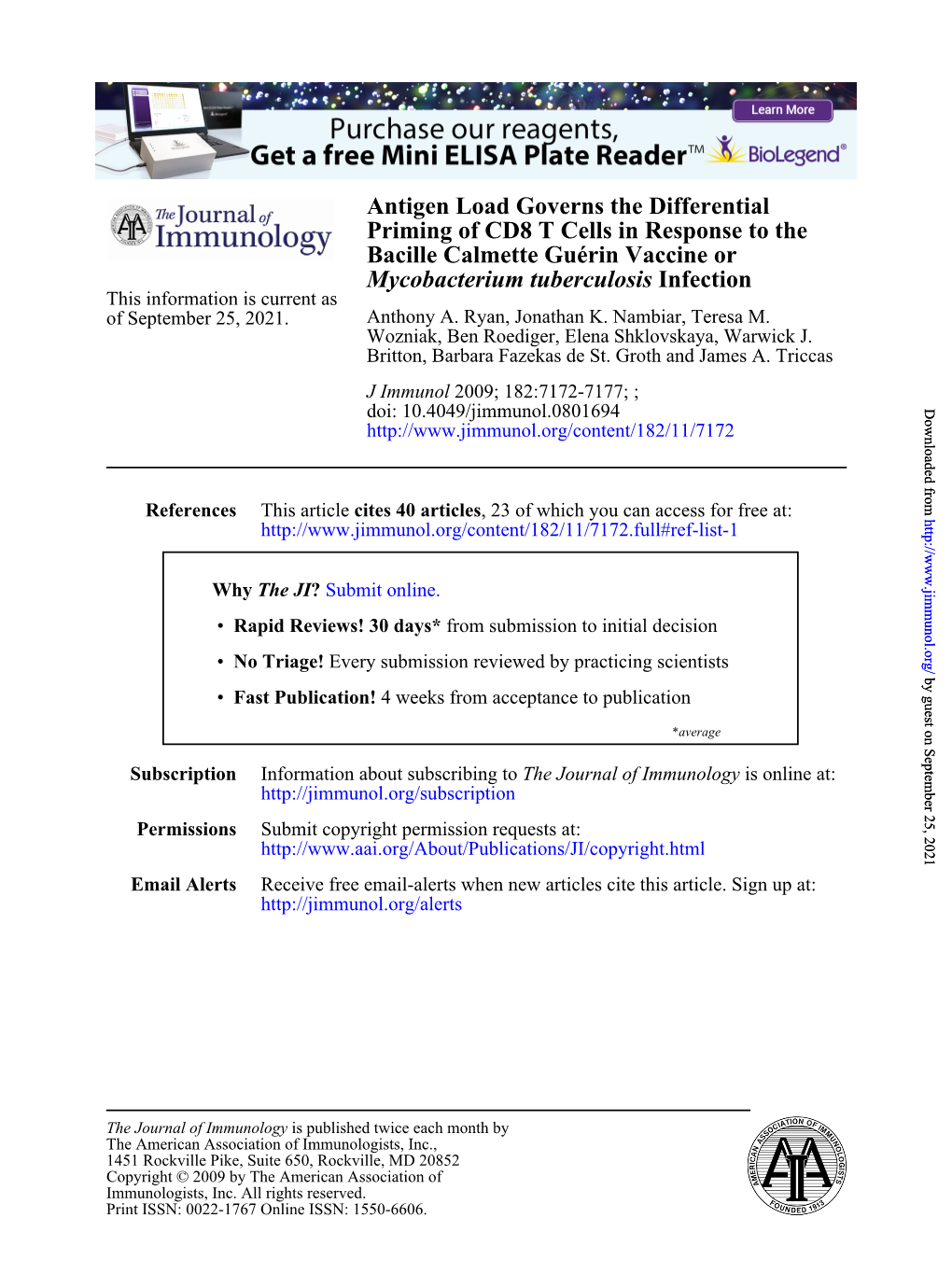 Infection Mycobacterium Tuberculosis Bacille Calmette Guérin Vaccine Or