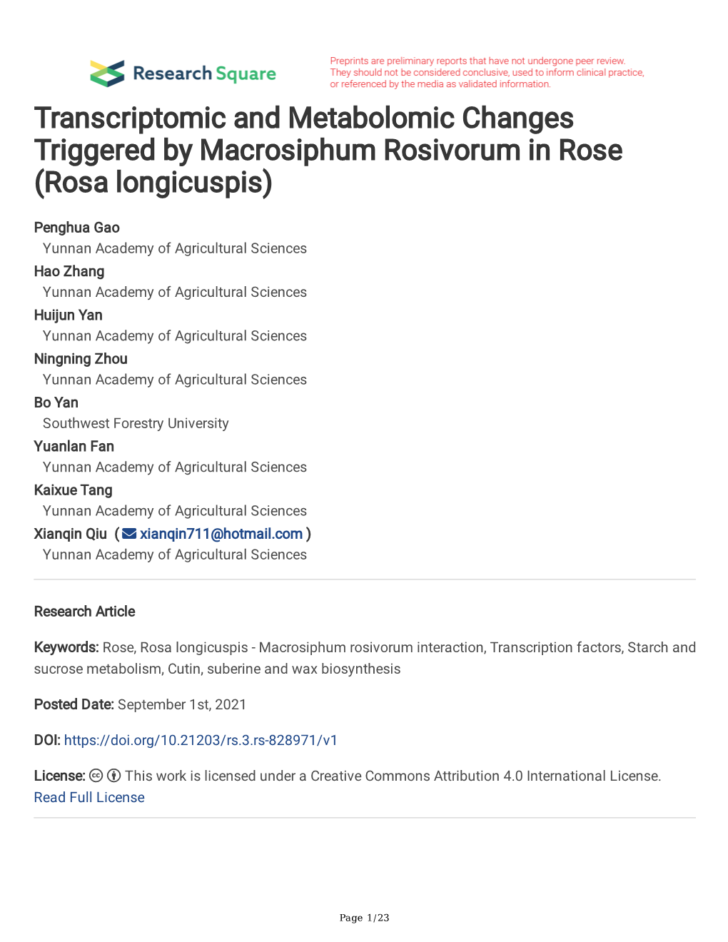 Transcriptomic and Metabolomic Changes Triggered by Macrosiphum Rosivorum in Rose (Rosa Longicuspis)