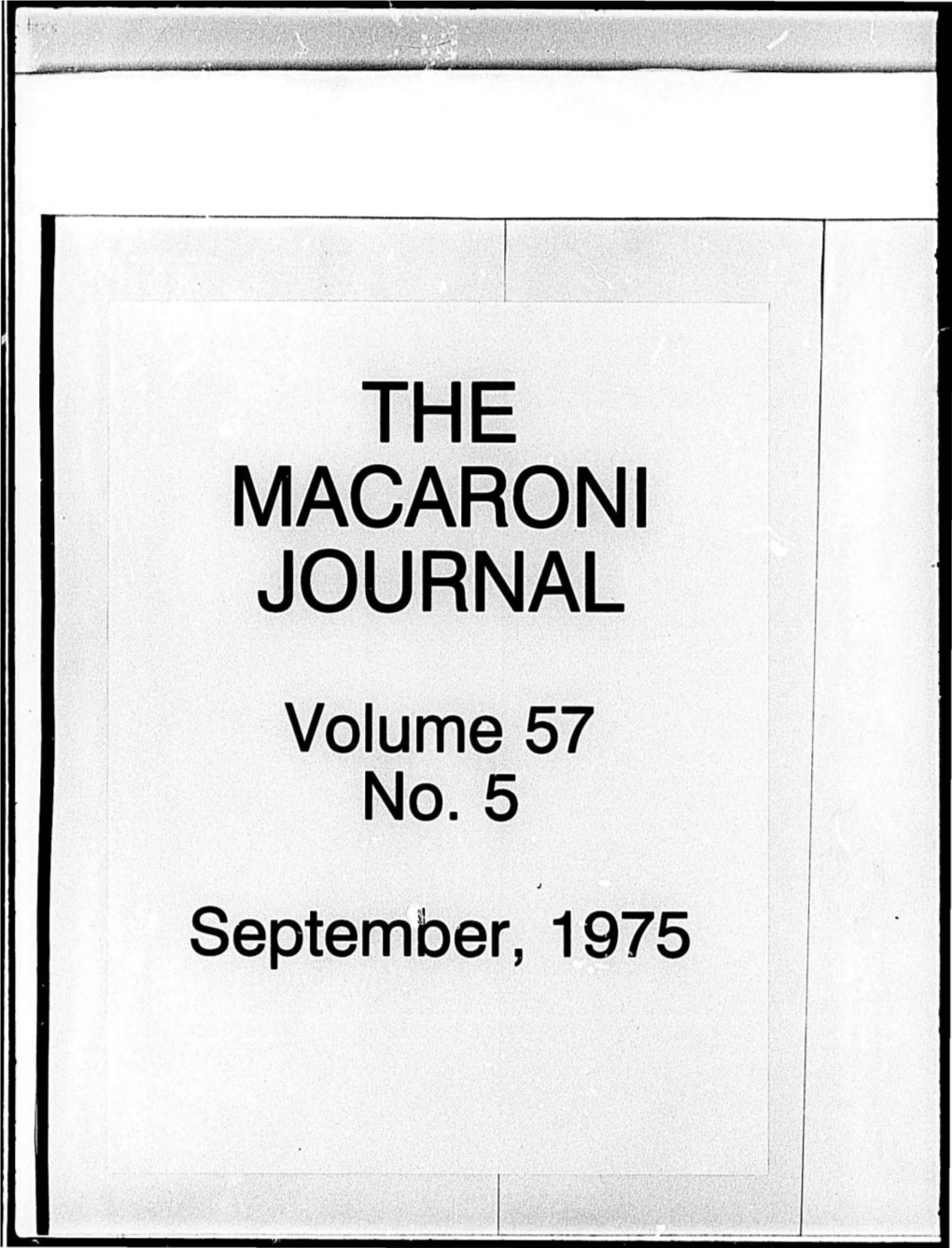 Macaroni Journal