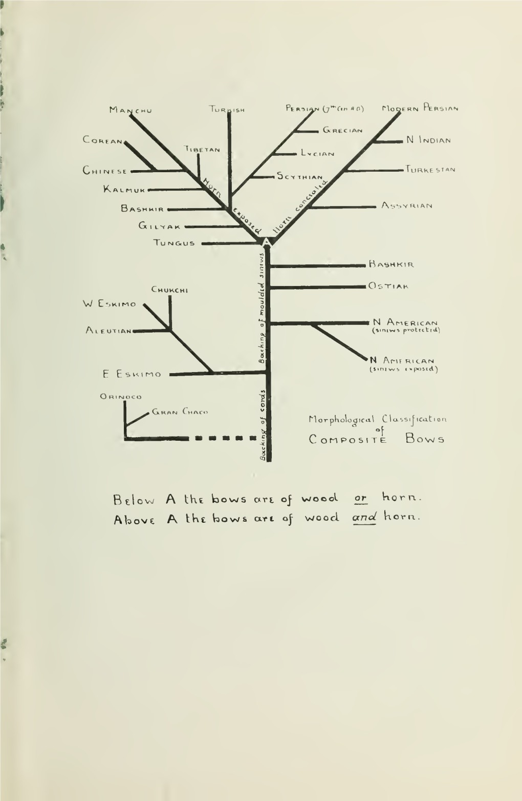 The Archer's Bow in Homeric Poems