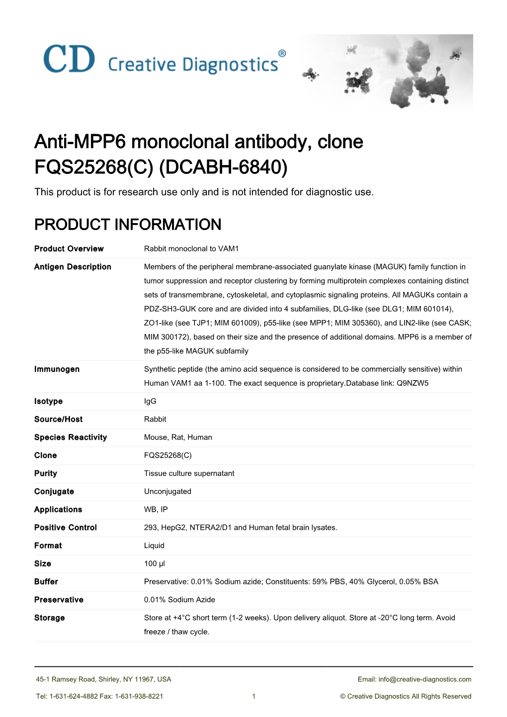 Anti-MPP6 Monoclonal Antibody, Clone FQS25268(C) (DCABH-6840) This Product Is for Research Use Only and Is Not Intended for Diagnostic Use